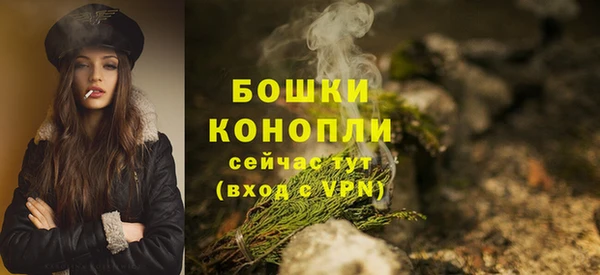 мет Елизово