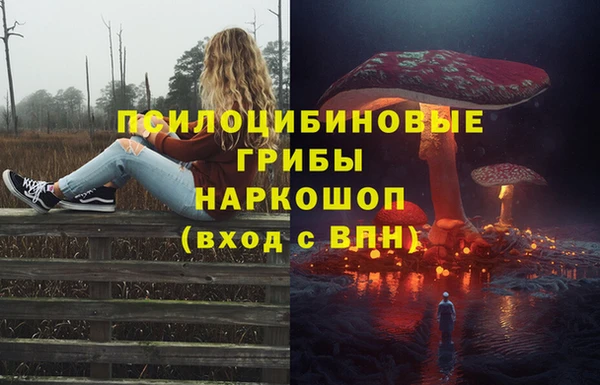 a pvp Дмитровск