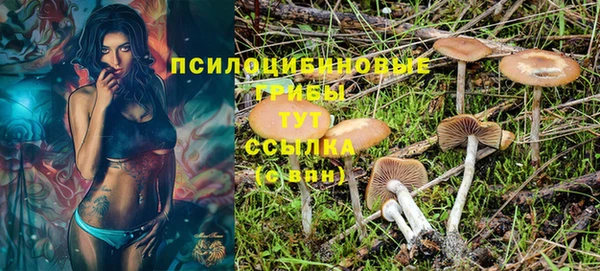 ECSTASY Дмитров