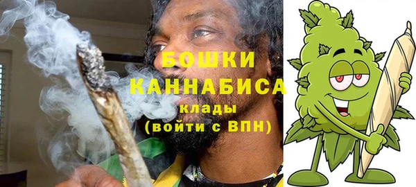 гашик Дмитриев