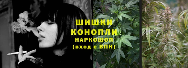 гашик Дмитриев