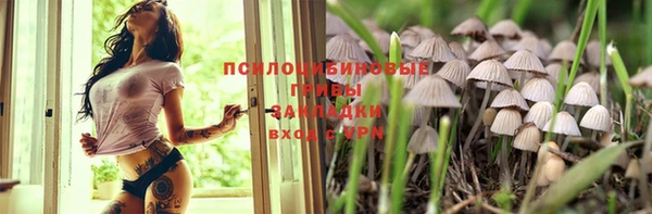 гашик Дмитриев