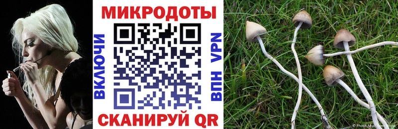 Псилоцибиновые грибы мухоморы  Зеленодольск 
